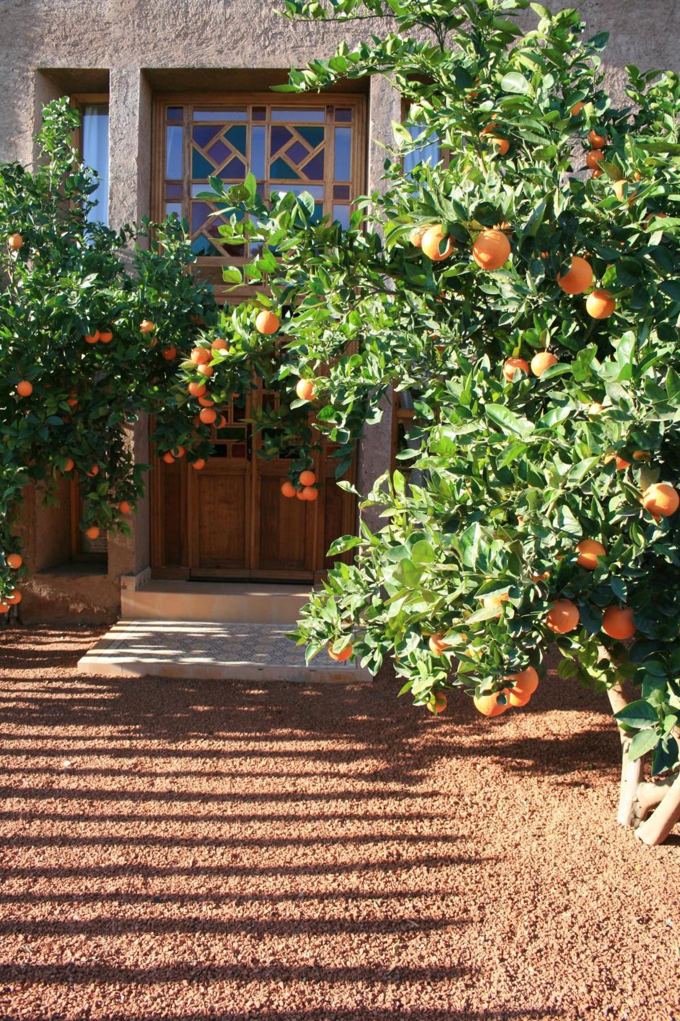 Готель Casa Taos Douar Azib el goundafi Екстер'єр фото